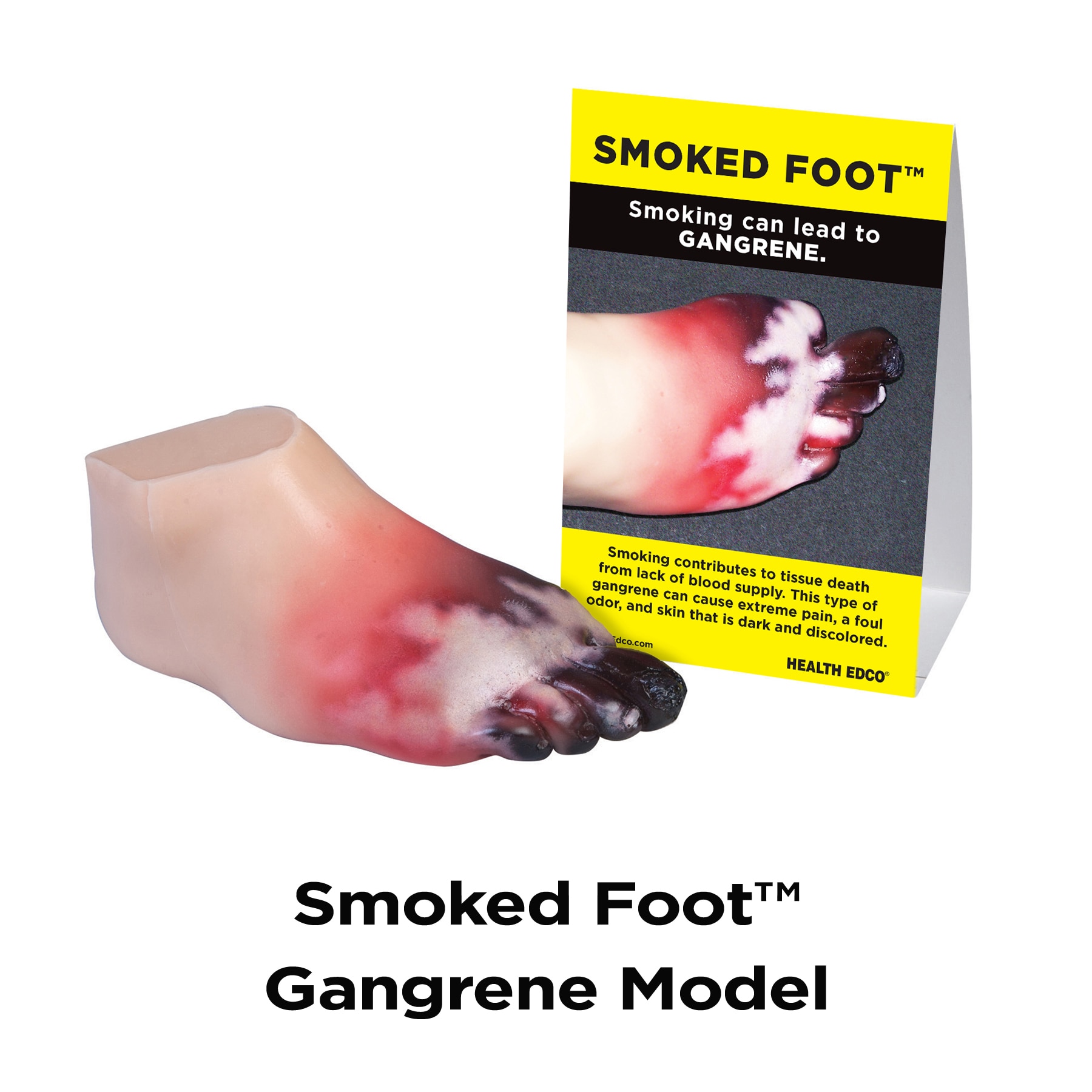 tobacco is foul Head-to-Toe Reasons to Avoid Tobacco Use