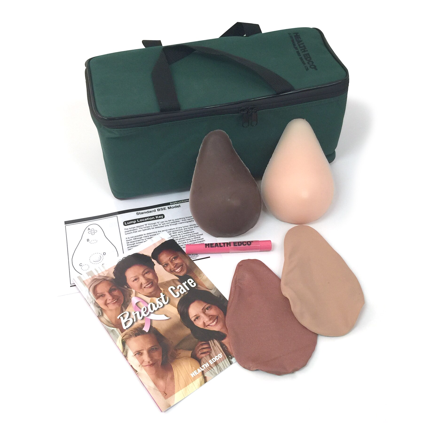 Standard BSE Model Kit | Health Edco