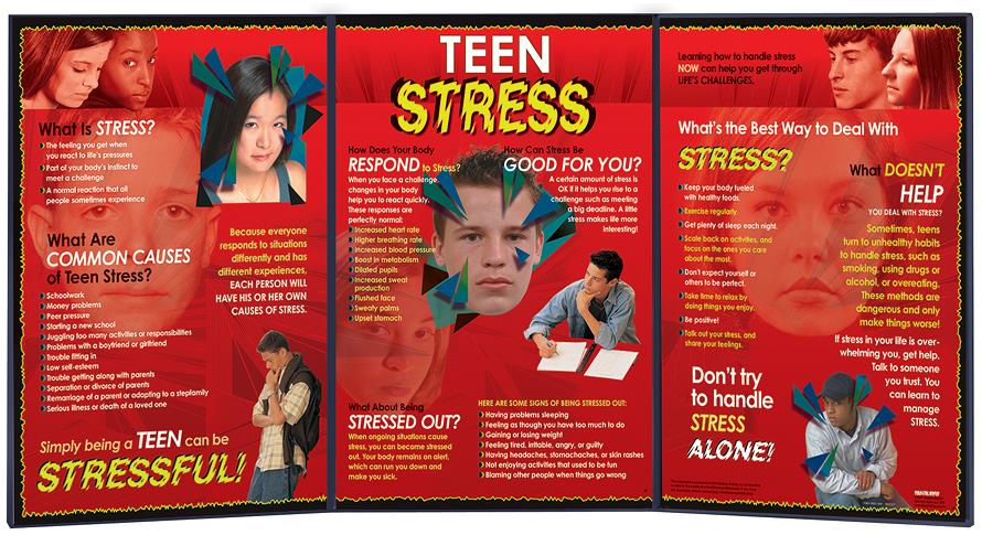 Teen Stress Folding Display for health education from Health Edco