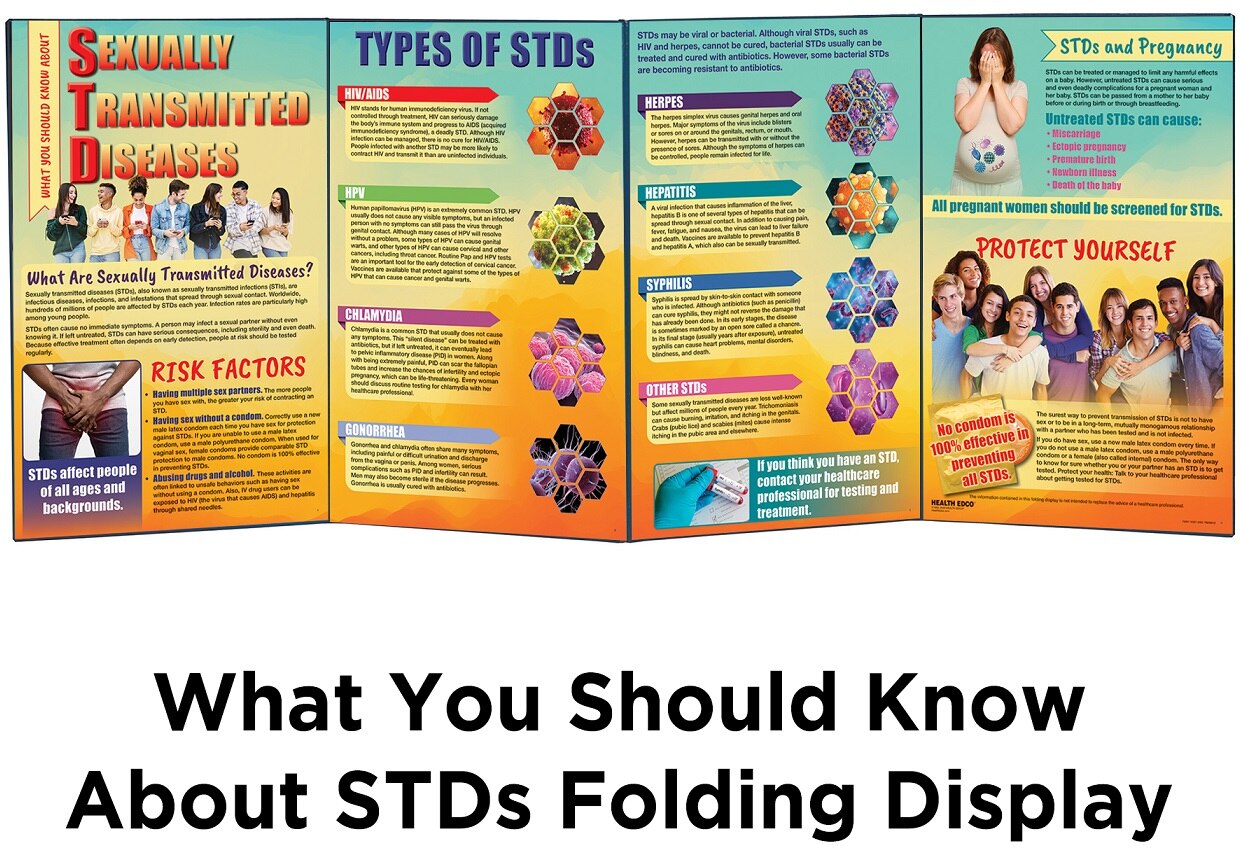 What You Should Know About STDs Folding Display for sex education by Health Edco with information about multiple STDs, 79087