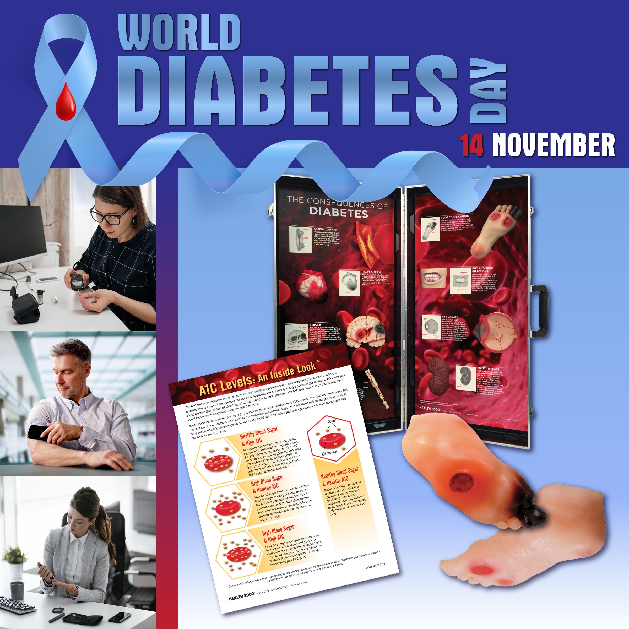 World Diabetes 2025: Diabetes in the Workplace, Health Edco diabetes education materials and models for health education