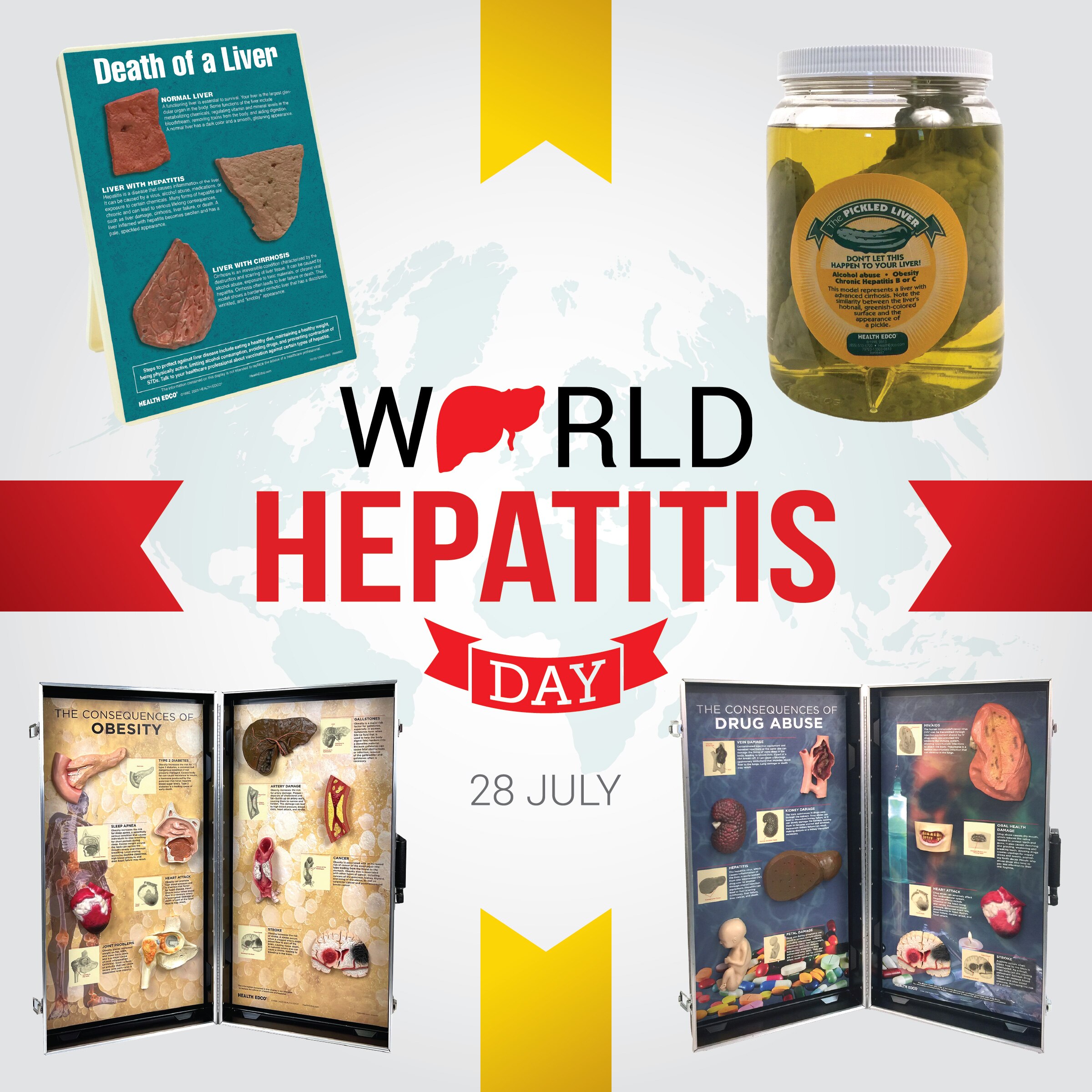 Graphic for World Hepatitis Day with Health Edco health education models and materials with a focus on liver health