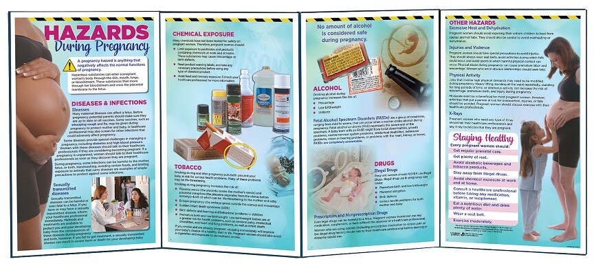 Hazards During Pregnancy Folding Display